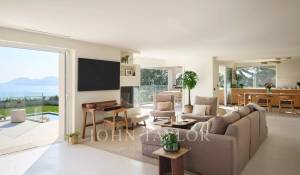 Сезонная аренда Поместье Cannes