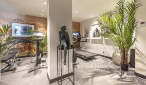 Сезонная аренда Поместье Cannes