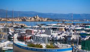 Сезонная аренда Поместье Juan-les-Pins