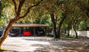 Сезонная аренда Поместье La Colle-sur-Loup