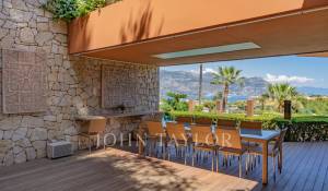 Сезонная аренда Поместье Saint-Jean-Cap-Ferrat