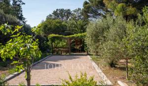 Сезонная аренда Поместье Saint-Tropez
