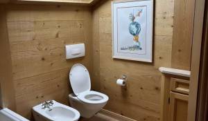 Сезонная аренда Шале Gstaad