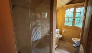 Сезонная аренда Шале Gstaad