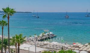 Событие Апартаменты Cannes