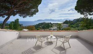 Событие Поместье Cannes