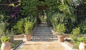 Событие Поместье Cannes