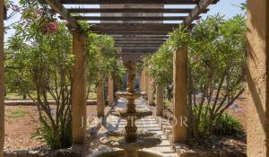 Событие Поместье Cannes