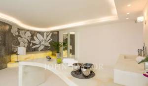 Событие Поместье Cannes