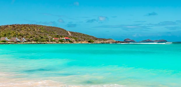 престижное агентство недвижимости SAINT BARTHELEMY