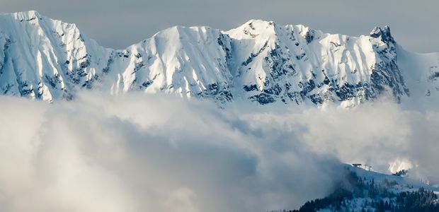 престижное агентство недвижимости МЕЖЕВ